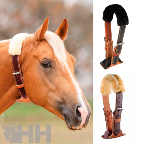 COLLAR AIRE PROFESSIONAL